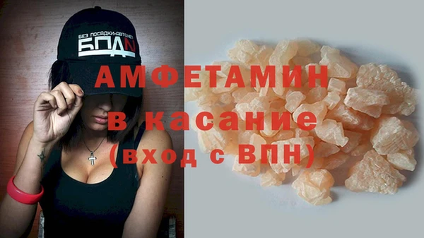 прущие грибы Алзамай