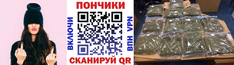 Шишки марихуана планчик  закладки  Кохма 